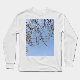 Sky and branches Long Sleeve T-Shirt